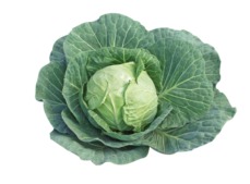 cabbages grown in minerally enriched soil